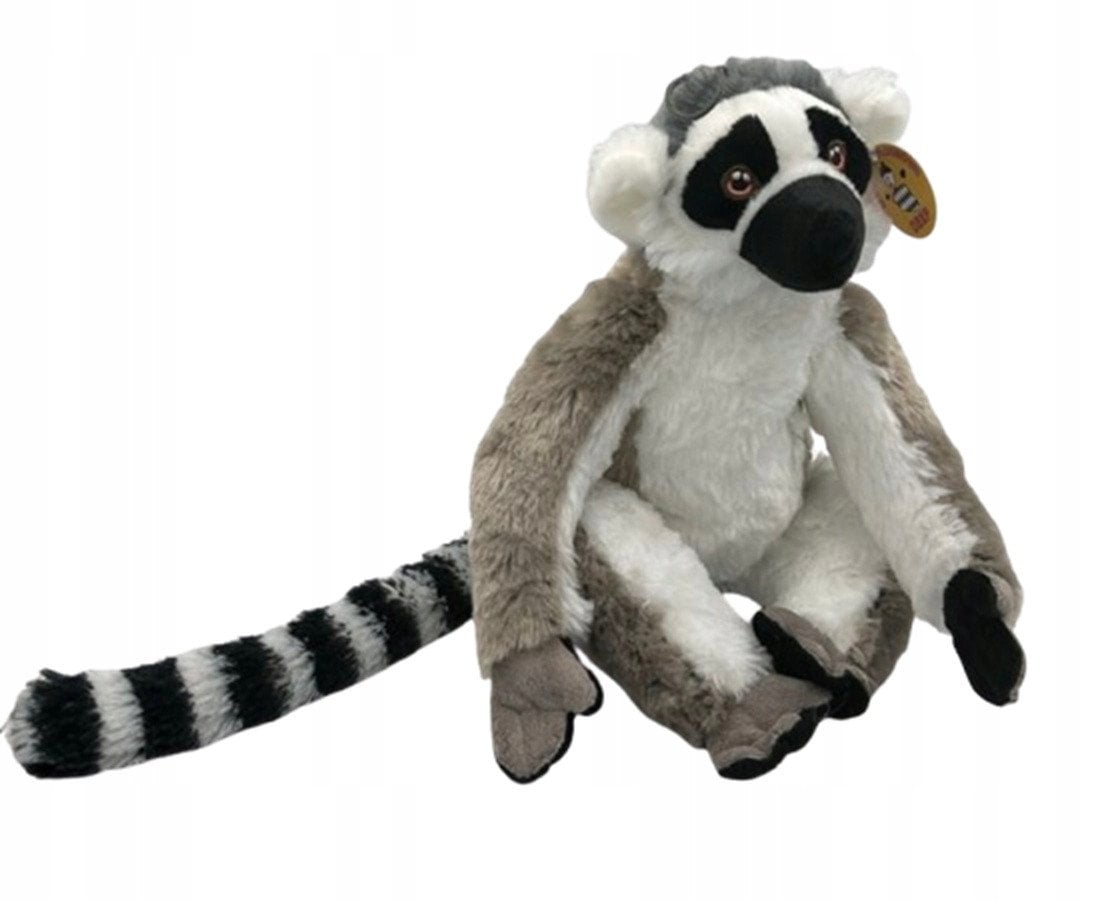 Lemur Mały 42561
