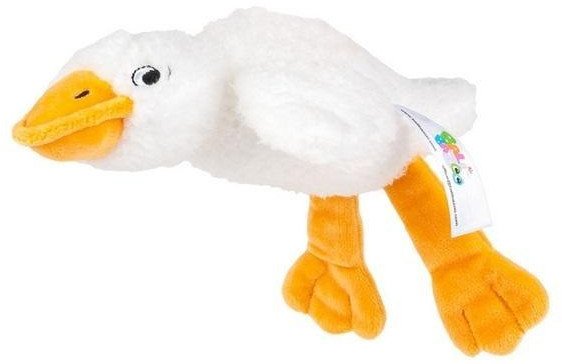 Sensoryczna Gęś biała