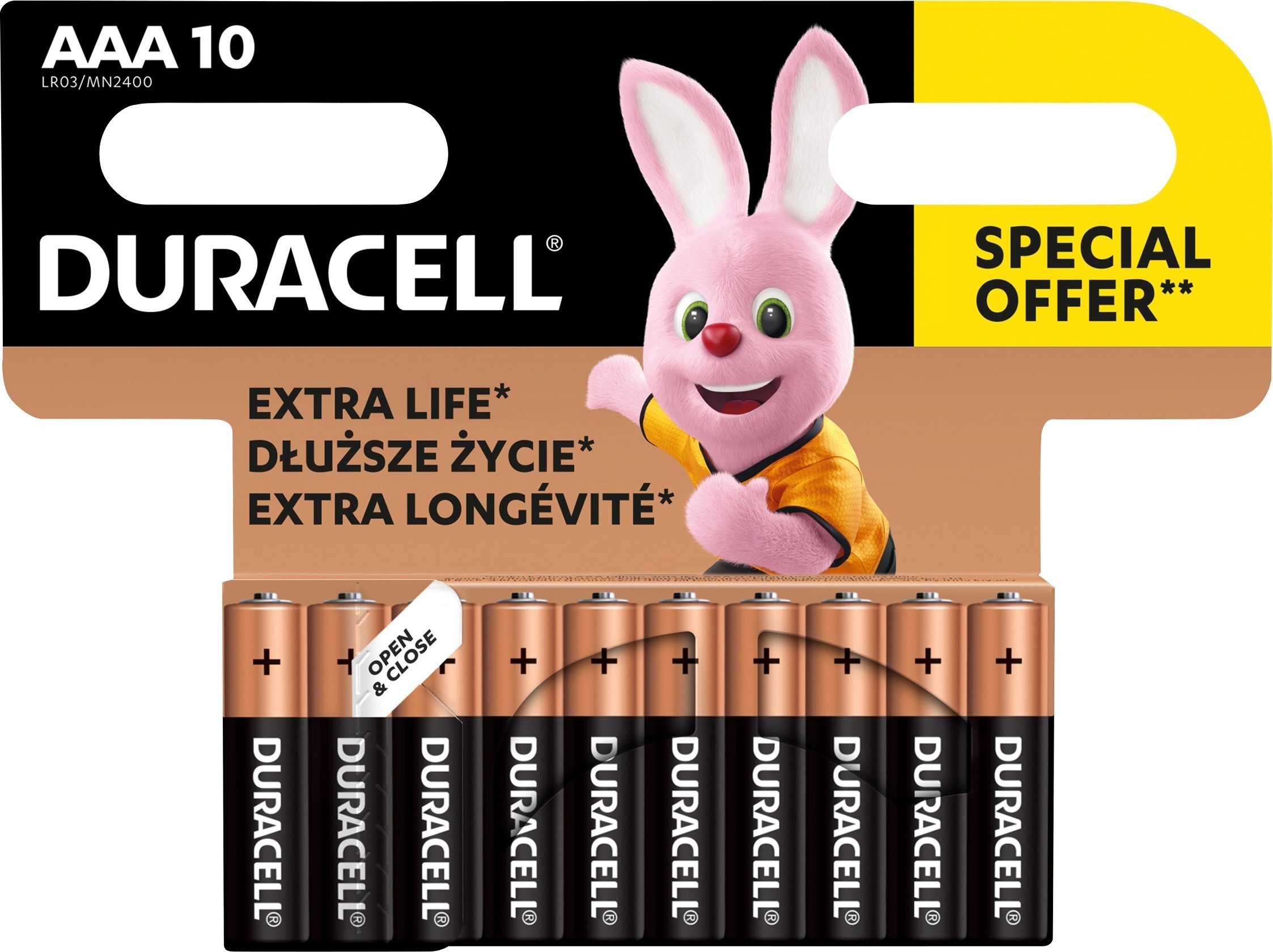Duracell Duracell Basic LR3/AAA Blister 10