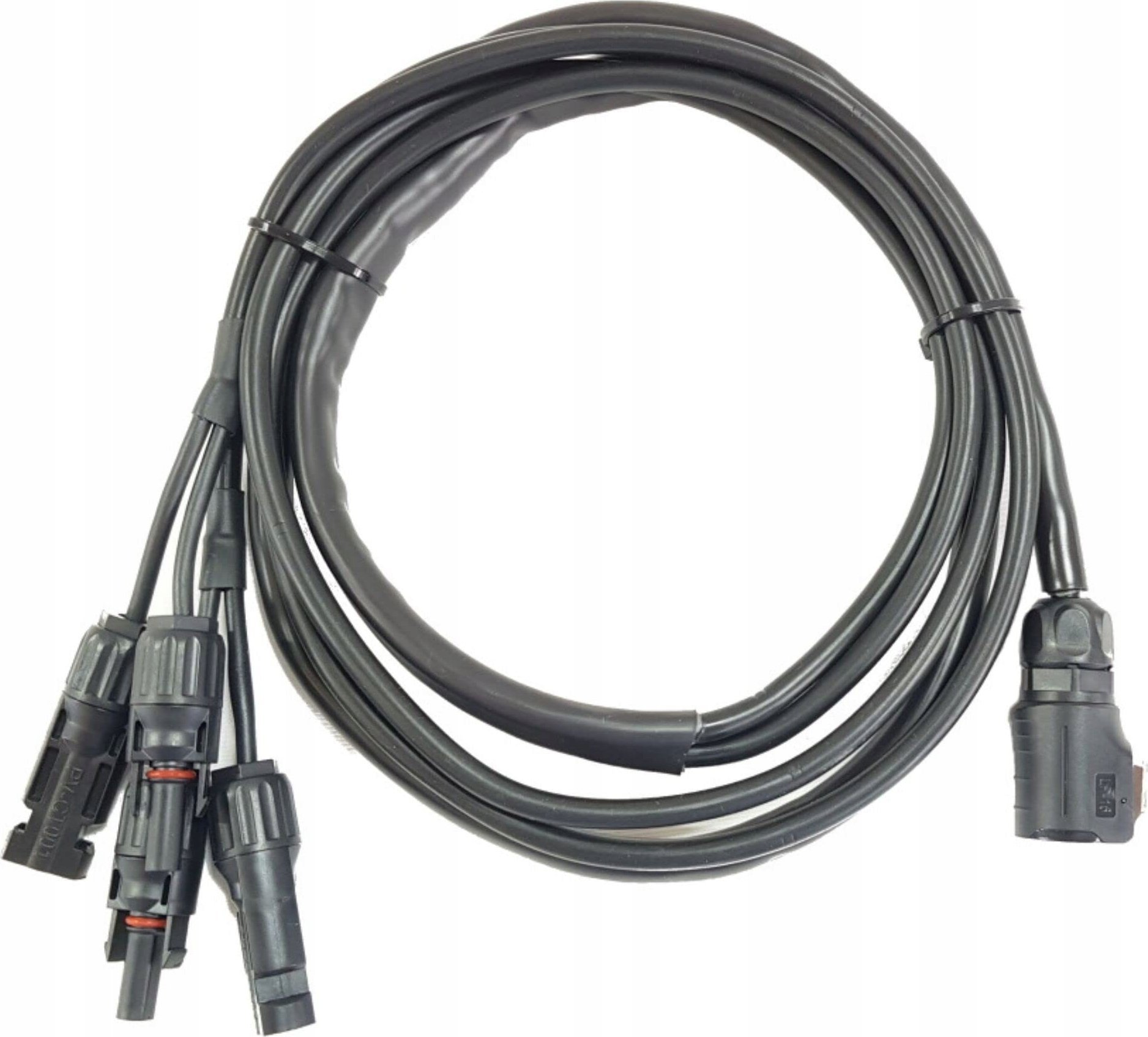 Karta sieciowa B&W International energy.case connection cable for two PV DC Plug Connector