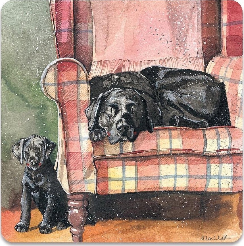 Teka Magnes FM247 Psy Sophie&Scarlett