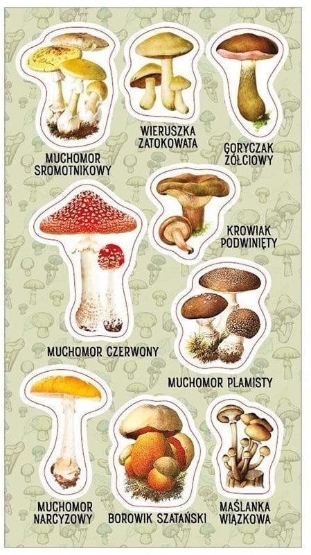 Naklejki Trujące grzyby