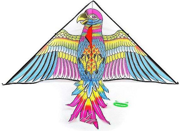 Adar Latawiec Ptak (3/208612)