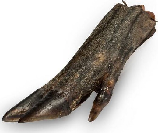 Balto Przysmak Dla Psa Racica Dzika 1szt