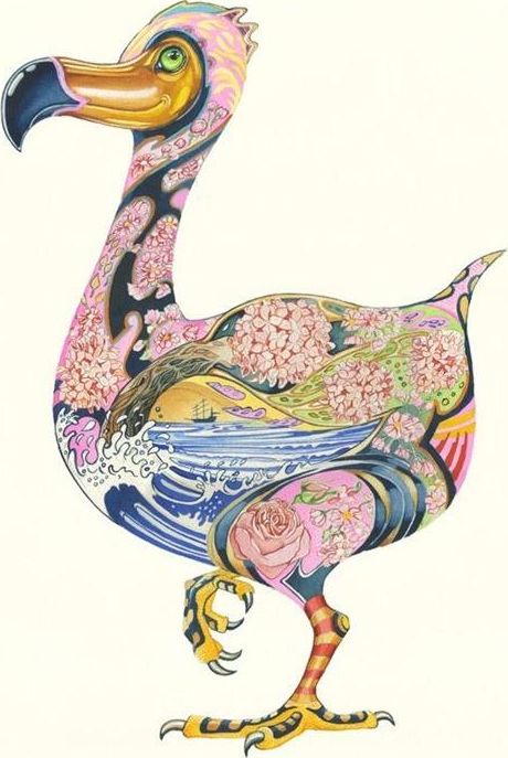 DM Collection Karnet A108 B6 + koperta Ptak dodo