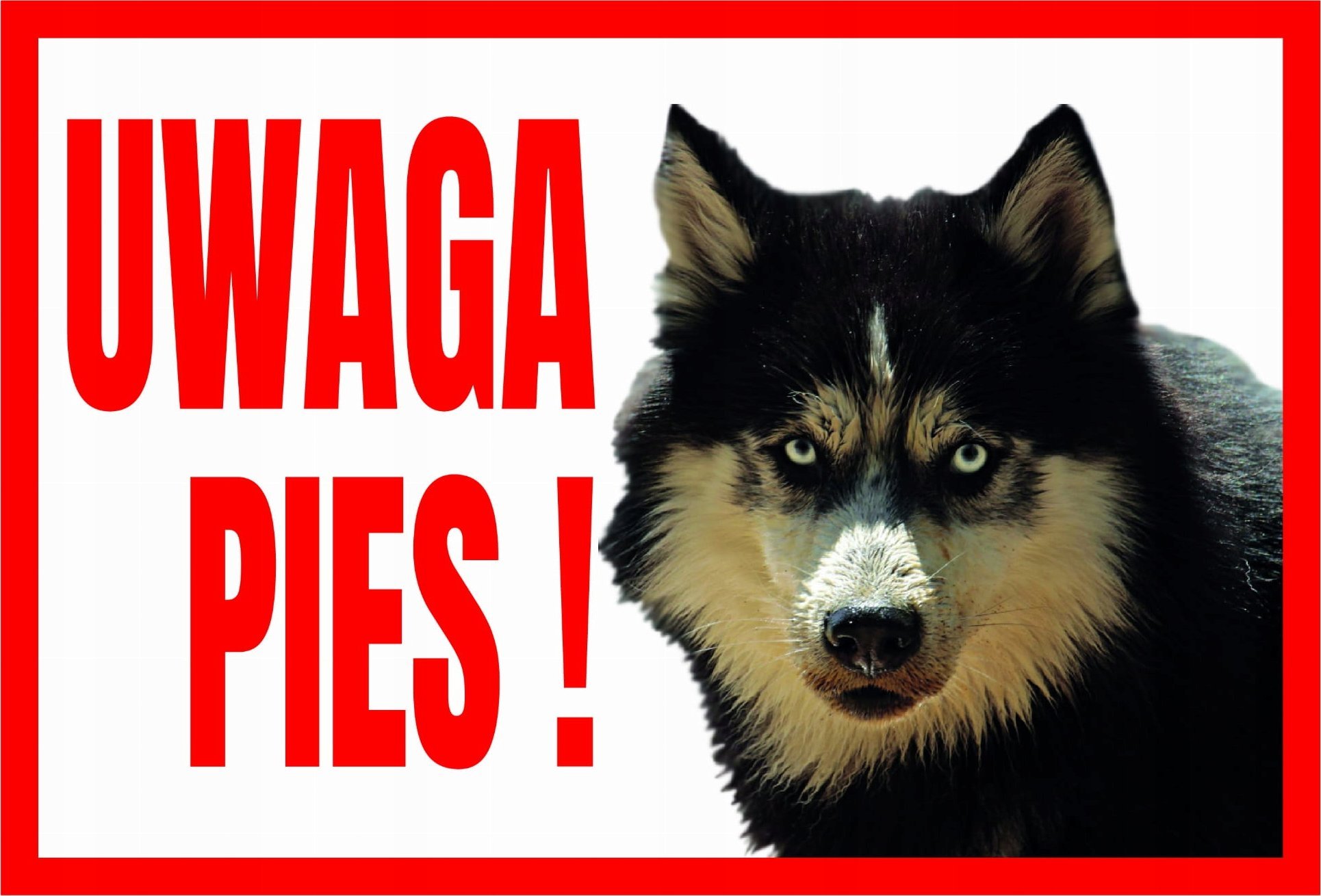 Dingo Uwaga Pies ! Husky - Tabliczka Ostrzegawcza Libres Polska Sp Tup-5 5902082237457