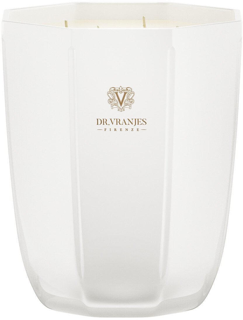 Dr. Vranjes Firenze, Ginger Lime, Scented Candle, 1000 g Unisex