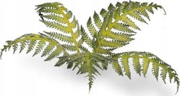 Gamers Grass Gamers Grass: Laser Plants - Bracken - Paproć