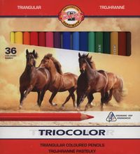 Koh I Noor Kredki Triocolor 36 kolorĂłw