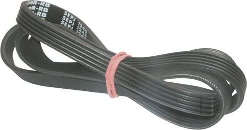 PASEK 1245 J5 ARDO S100X