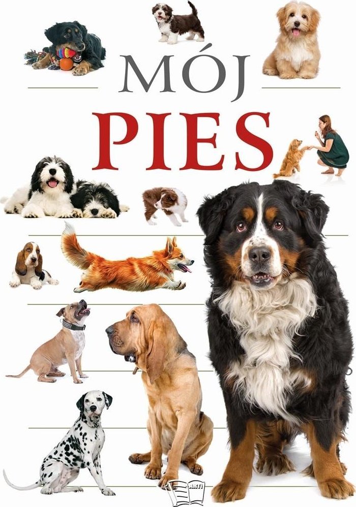 Mój pies