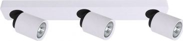 Lampa sufitowa Italux Lucien FH31313A11