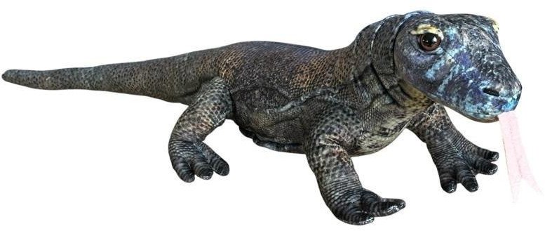 Dubi Waran z Komodo 70cm