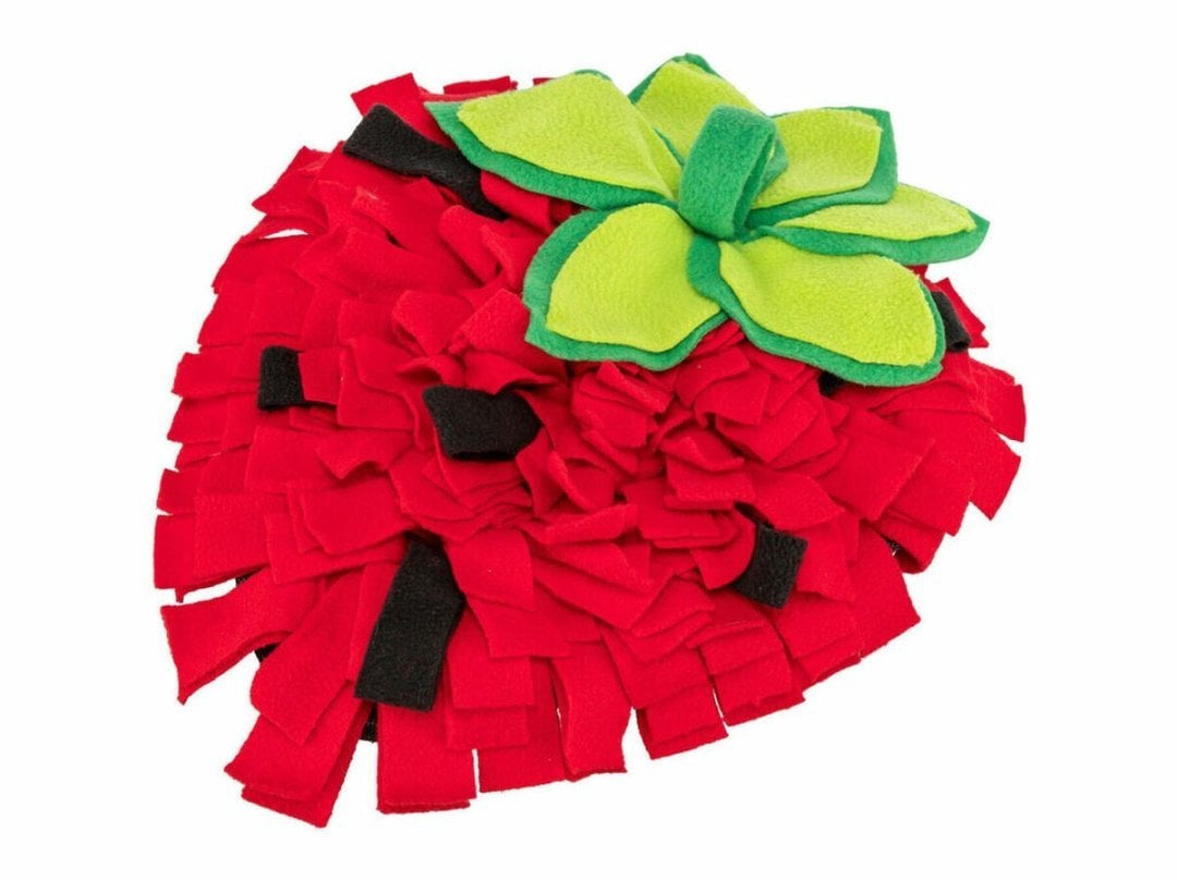 Mata do zabawy Trixie Czerwony Poliester 33 40 cm