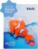 Teka Rybka nakręcana