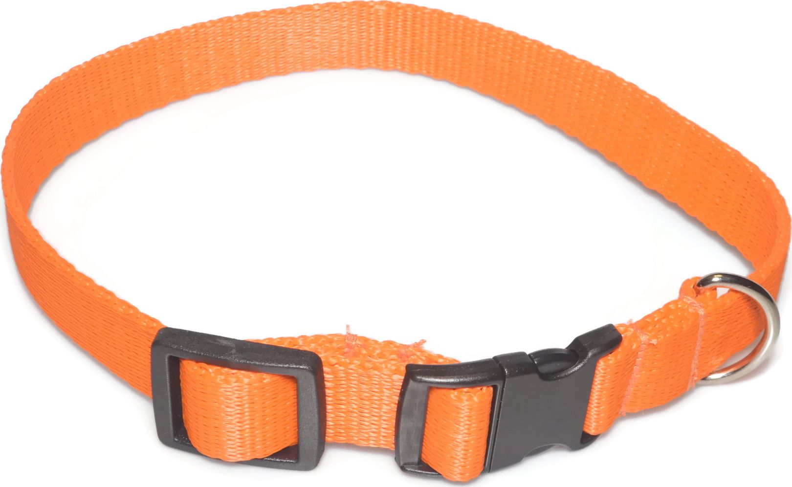 Alizoo Obroża dla średnich psów 20mm/26-44cm - ALIZOO