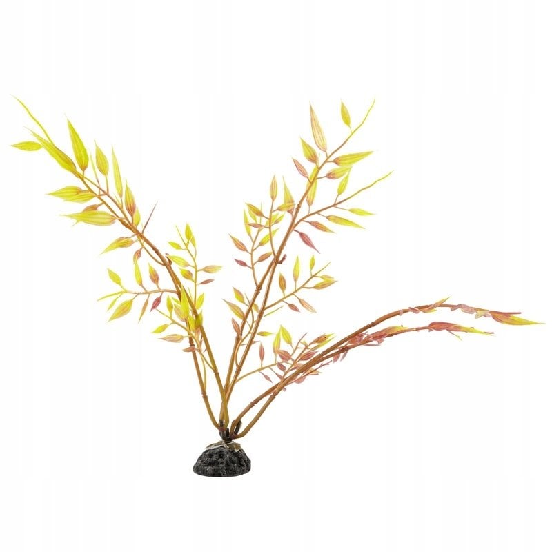 Aqua Natura, roślina, do dekoracji akwarium, żółta, plastikowa, 20 cm , młody beniaminek