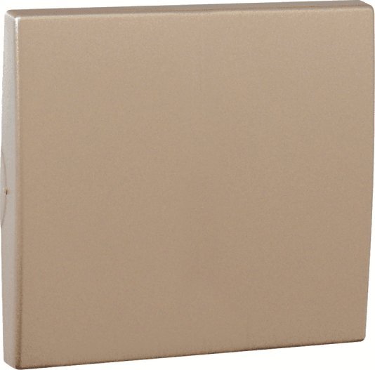 Efapel EFAPEL APOLO KLAWISZ DO ŁĄCZNIKA 1-2-BIEGUNOWEGO UNIWERSALNEGO LUB ZWIERNEGO PLATYNA 50601 TPL