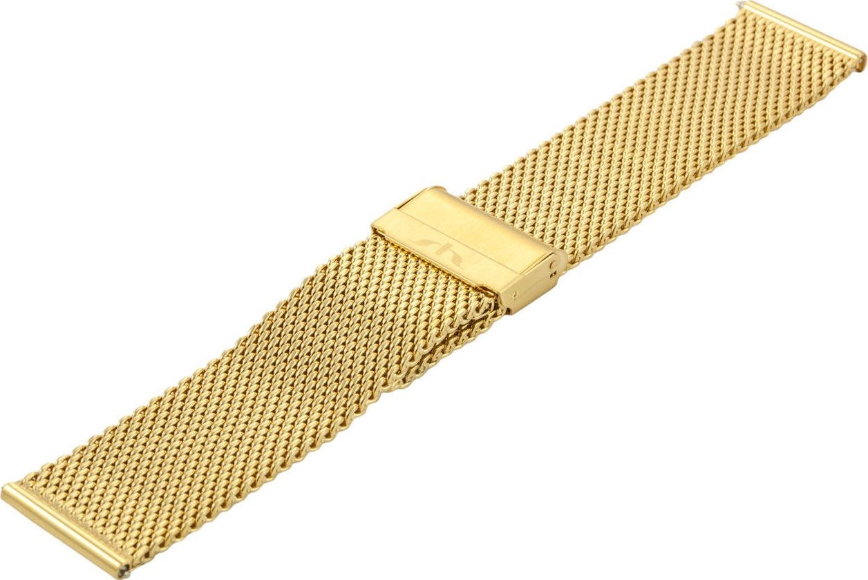 Bisset Bransoleta stalowa do zegarka 24 mm Bisset BM-102/24 Gold uniwersalny