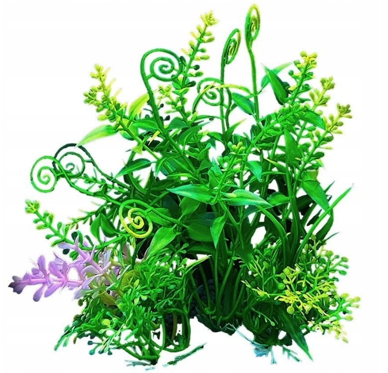 Terra Natura Aqua Natura, roślina, do dekoracji akwarium, zielono-żółta, plastikowa, 12 cm, gęste drobne liście