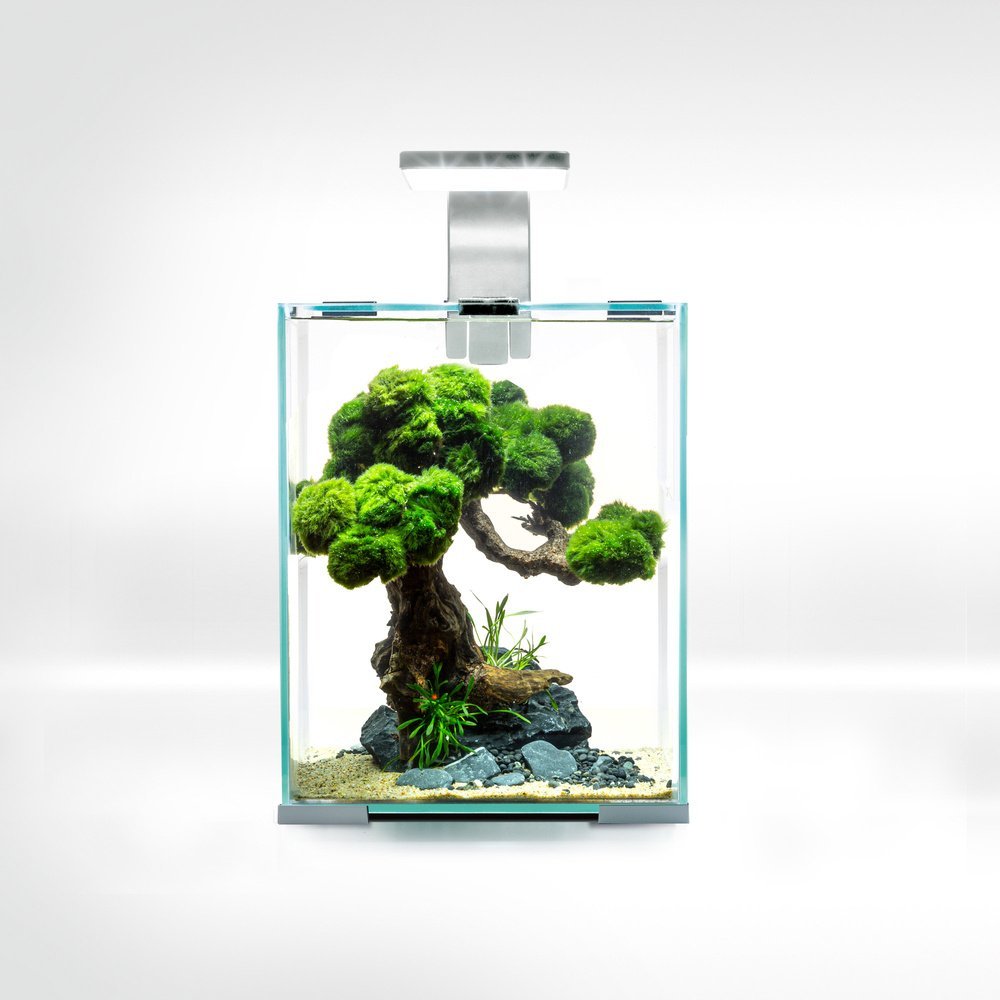 Aquael AQUAEL Zestaw Aquael Shrimp Set Smart Day & Night [10l] - biały