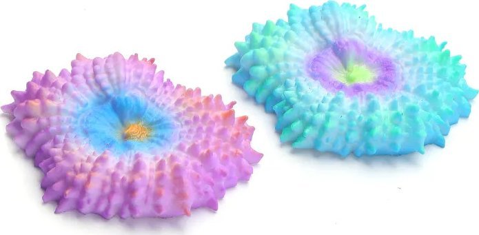 Nobleza Odblaskowy koral Odblaskowy koral