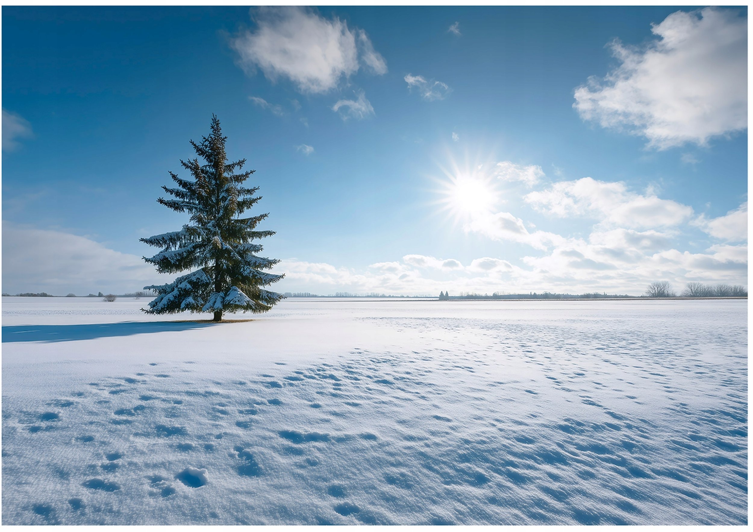 Fototapeta Na Flizelinie Pole Natura Do Sypialni Salonu 400x280
