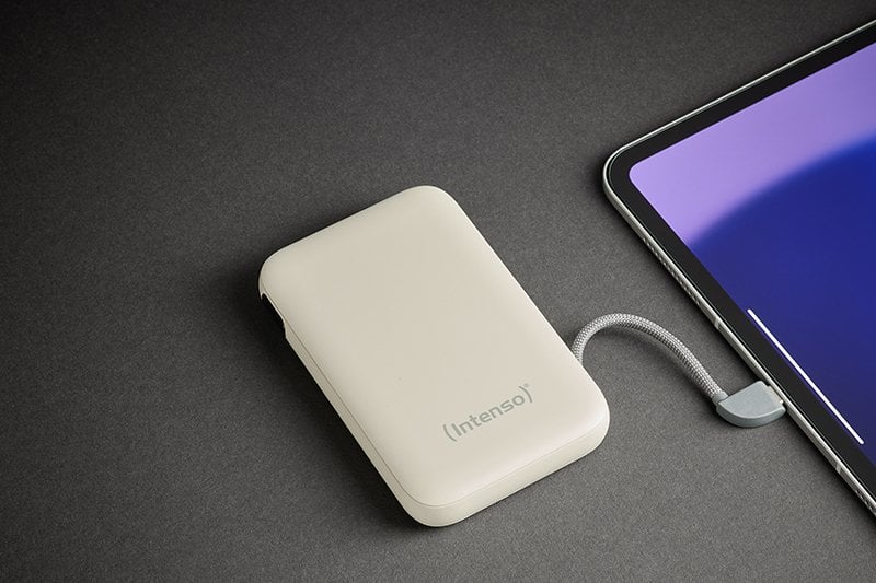 Intenso 7333031 bank mocy