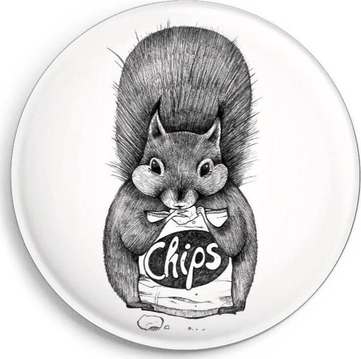 Magnes Wiewiórka z chipsami