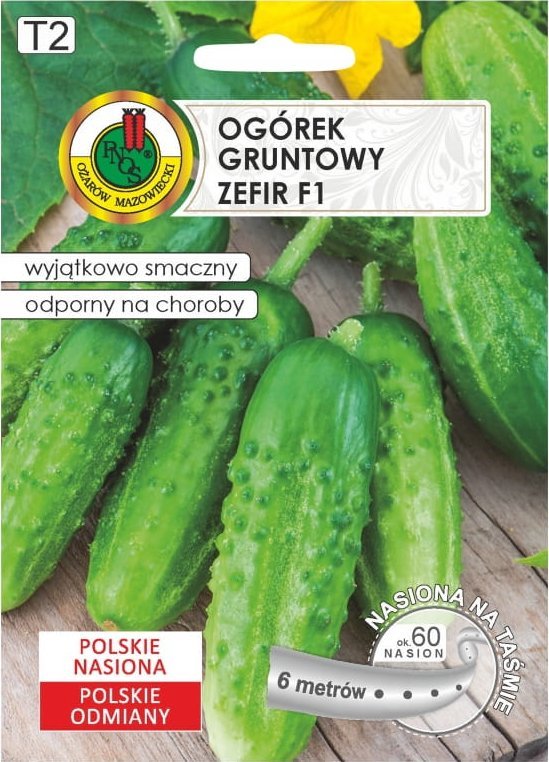 Ogórek Zefir F1 taśma 6m Wczesna odmiana nasiona