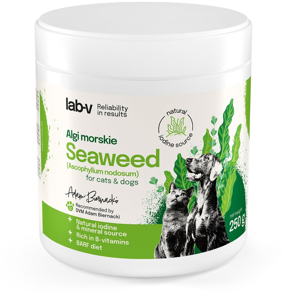 LAB V Algi Morskie źródło jodu i minerałów dla psów i kotów 400 g