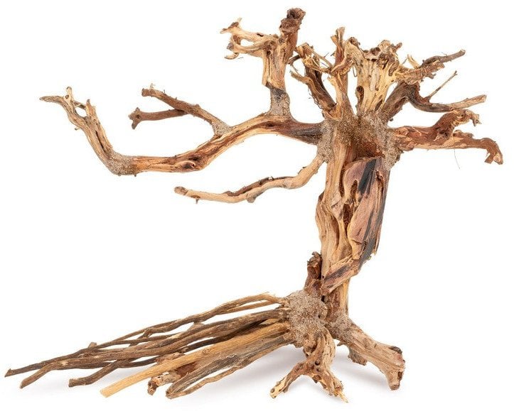 Ton�ce drzewo Bonsai nr 14 40x30