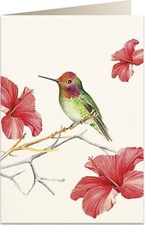 Tassotti Karnet B6 + koperta 5998 Koliber