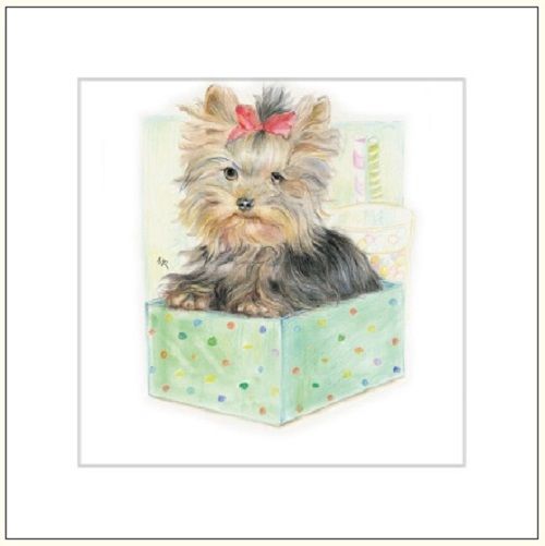 DA VINCI Karnet Pies w pudełku DaVinci 16x16 cm + koperta (G04 41G 055)