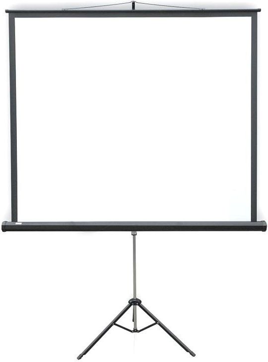 Ekran do projektora 2x3