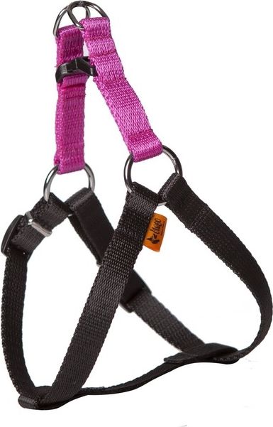 Dingo Fred Energy rozmiar 60 szer. 1.6 cm Różowe (94613)