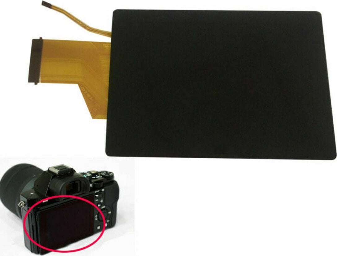 Canon SCREEN, FOCUS 5PCS/BOX LQ