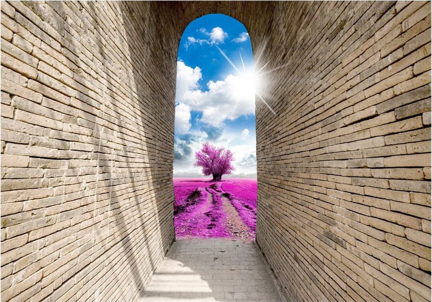 DecoNest Fototapeta - Magiczne przejście - 100X70