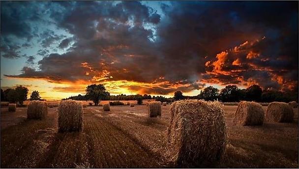 Monitor Samsung VM55B-U (LH55VMBUBGBXEN)