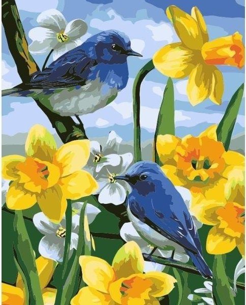 Malowanie po numerach - 40x50cm Ptaszki na żonkila