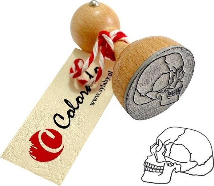 Stempel mózgoczaszka
