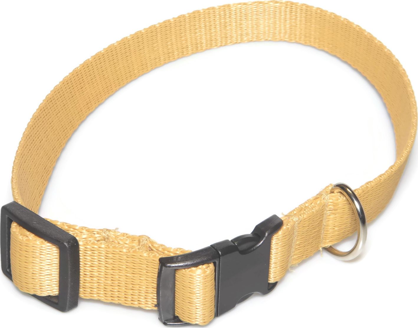 Alizoo Obroża dla średnich psów 20mm/26-44cm - ALIZOO