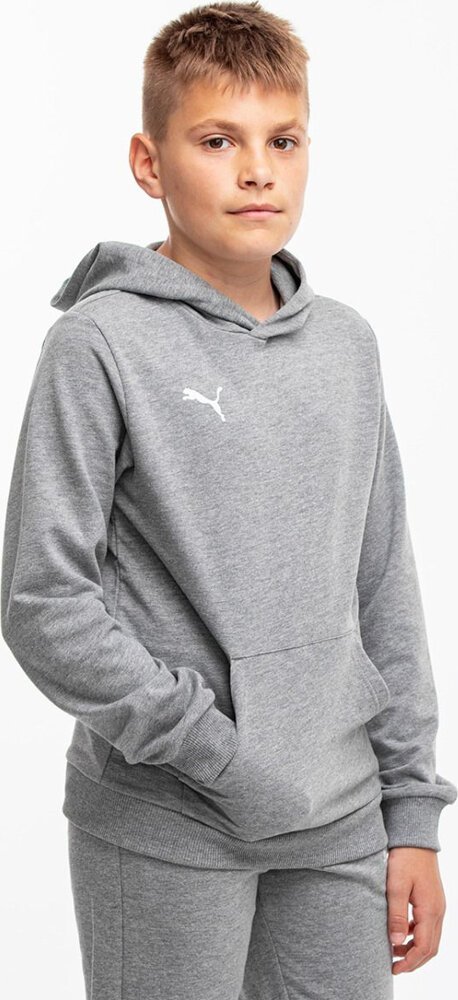 Puma Bluza dla dzieci Puma Team Goal Casuals Hoddy szara 658619 33 116cm