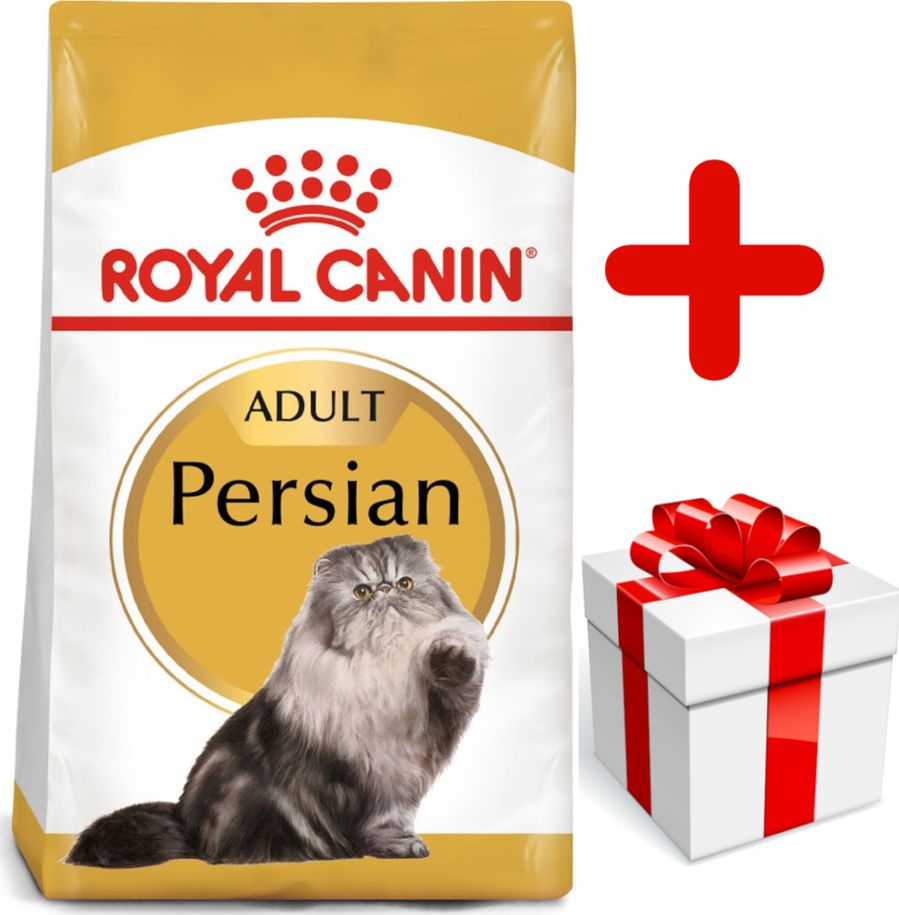 Royal Canin ROYAL CANIN Persian Adult 10kg karma sucha dla kotów dorosłych rasy perskiej + niespodzianka dla kota GRATIS!