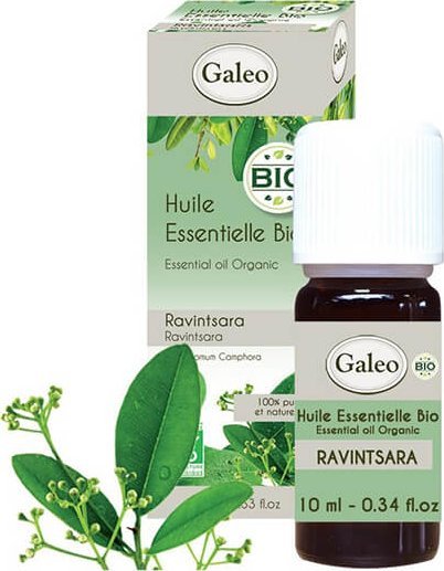 Galeo Olejek eteryczny BIO z cynamonowca kamforowego Galeo 10 ml