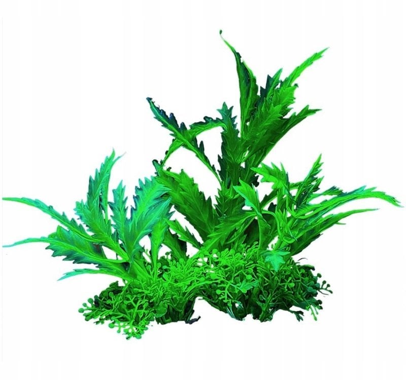 Terra Natura Aqua Natura, roślina do dekoracji akwarium, zielona, plastikowa, 12 cm, rozłożyste liście