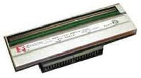 Zebra Głowica (P1037974-010)