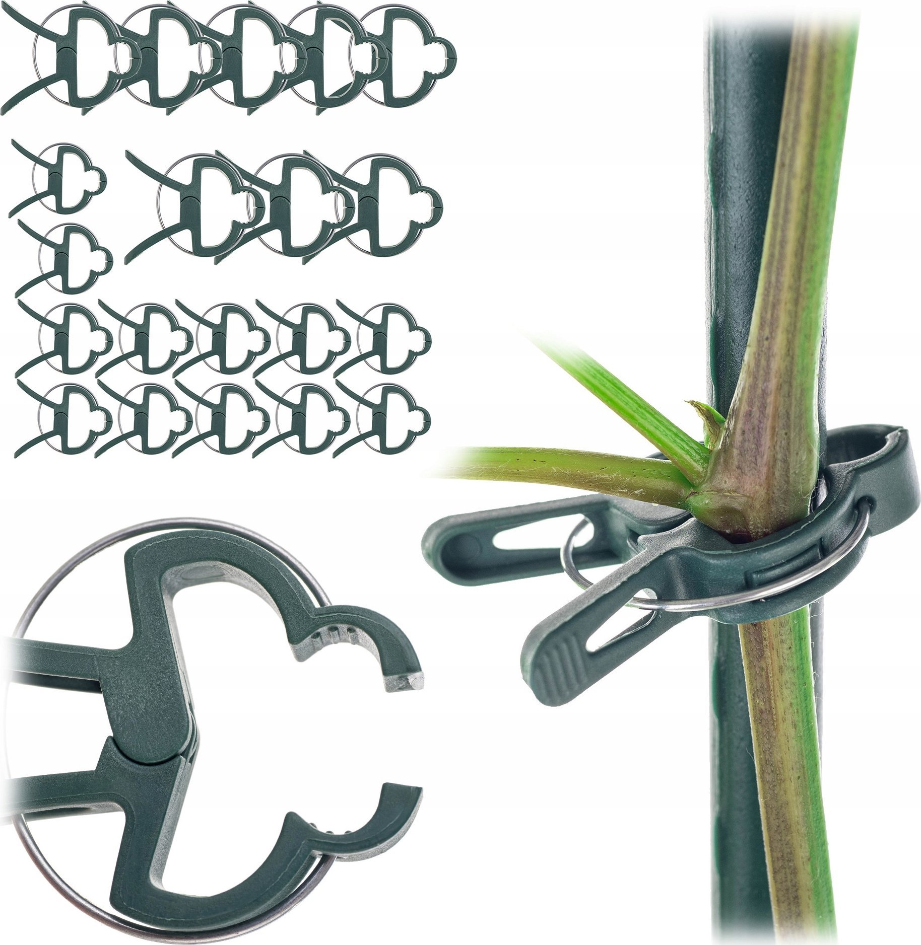 Kadax KADAX Klipsy Zapinki Do Pomidorów Roślin Pędów Fasoli Łodyg Spinki Spinka 20szt