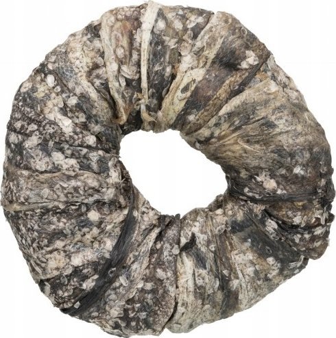 Trixie Denta Fun Fish Chewing Rings - 50szt/OPAK, 10 cm, 110g/szt, ryba