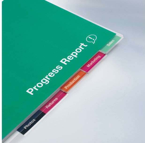 GBC Folia Organise Pouch A4 2x125mic dziurk. (3743156)